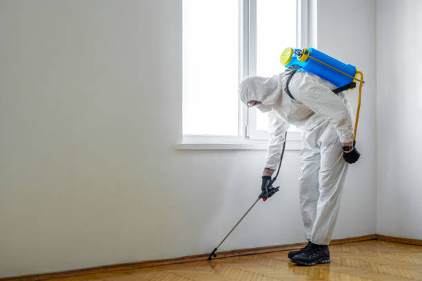 Reliable Tuckahoe, NY Pest control Solutions